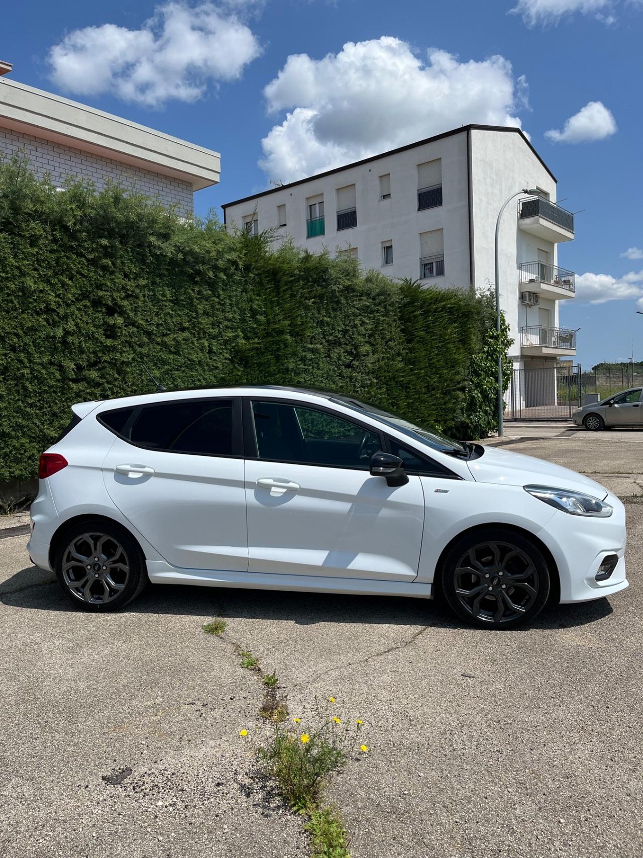 Ford Fiesta 1.5 EcoBlue 5 porte ST-Line