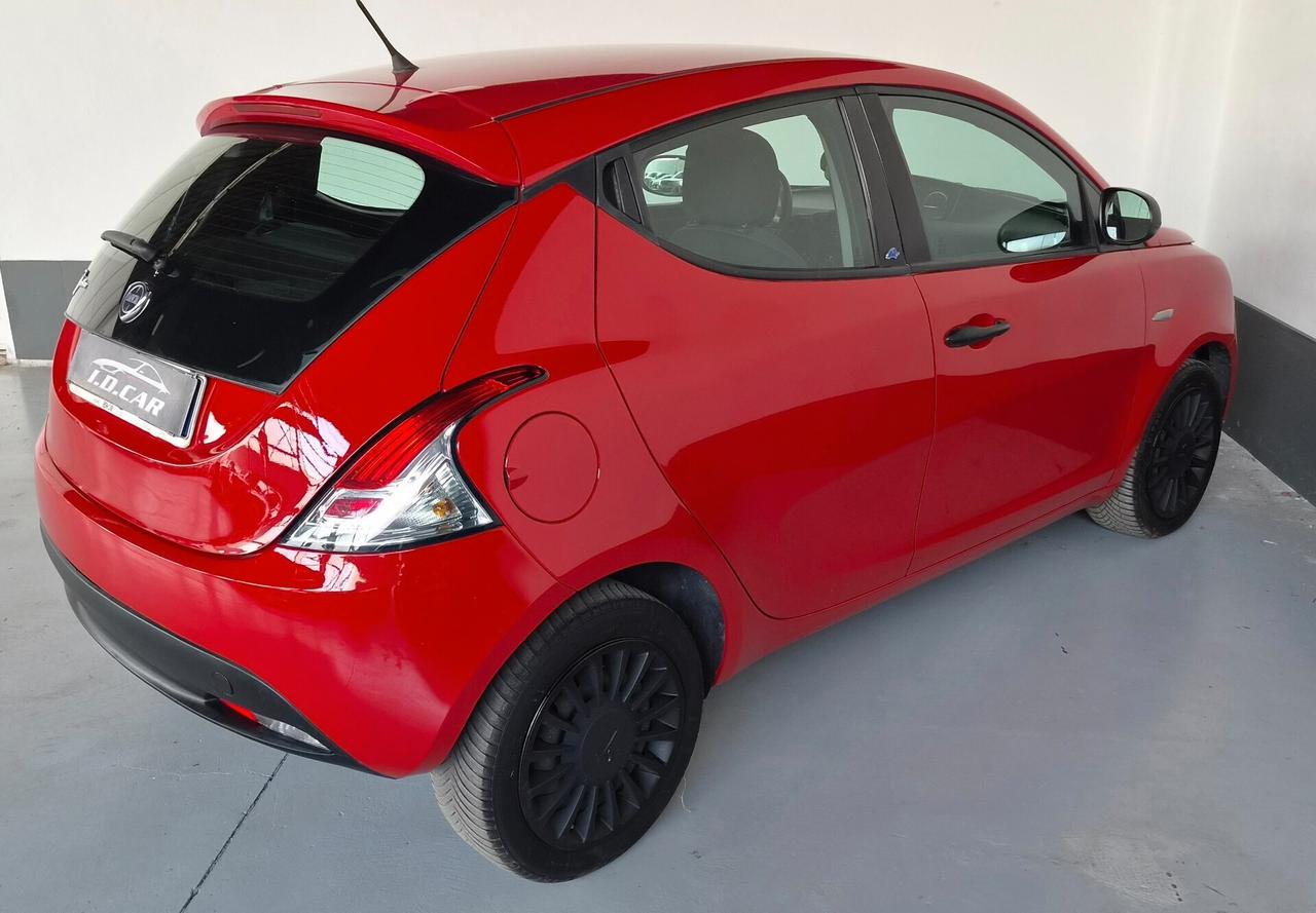 Ypsilon 1.2 69 CV 5 porte Elefantino Blu (NEOPATENTATI)
