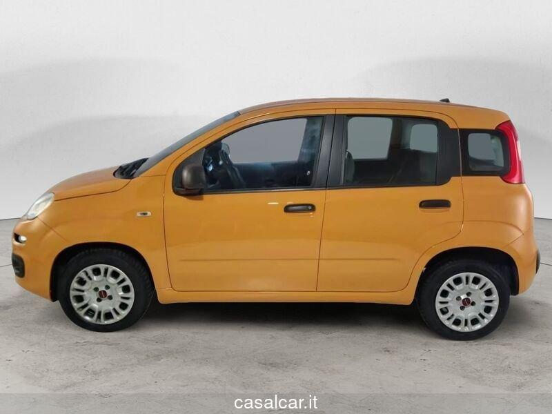 FIAT Panda Panda 1.2 Easy FINO A 3 ANNI DI GARANZIA KM ILLIMITATI PARI ALLA NUOVA