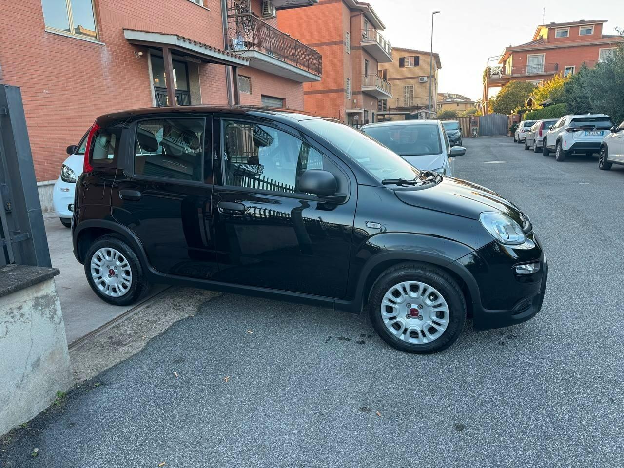 Fiat Panda 1.0 FireFly S&S Hybrid Pandina