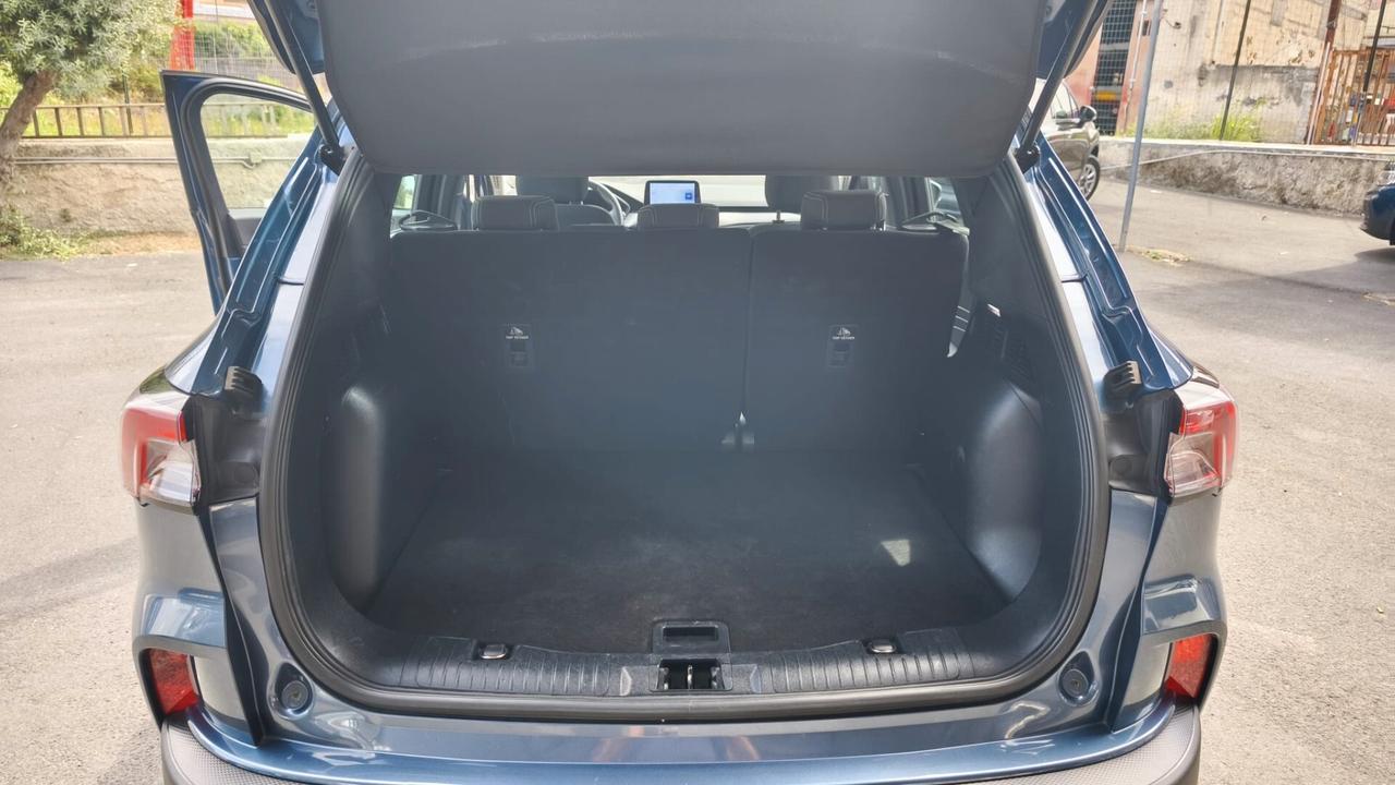 Ford Kuga 1.5 EcoBlue 120 CV aut. 2WD Titanium Business