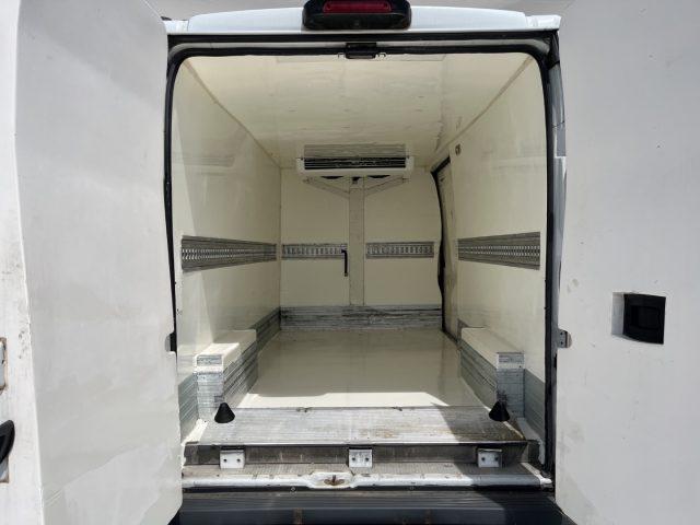FIAT Ducato MAXI FRIGO CON PEDANA