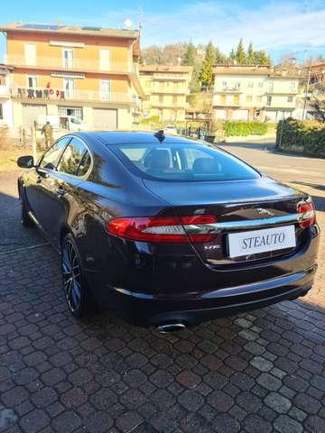 Jaguar XF 3.0 DIESEL V 6 AUTOMATICA CV 241 LUXURY