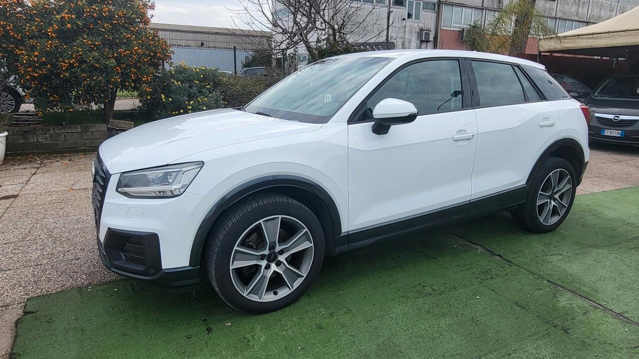 Audi Q2 1.6 TDI Business 116CV