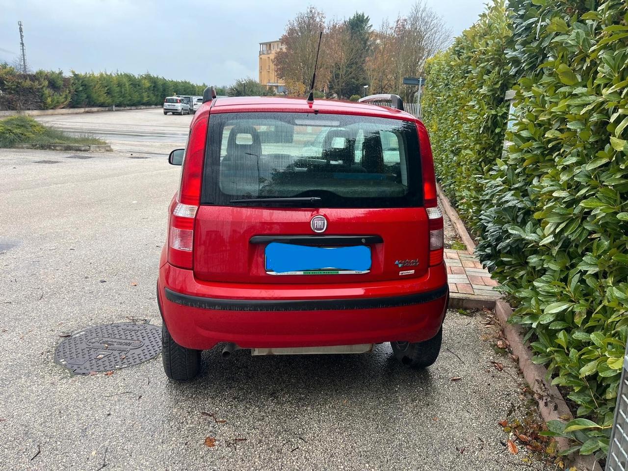 Fiat Panda 1.4 Climbing Natural Power