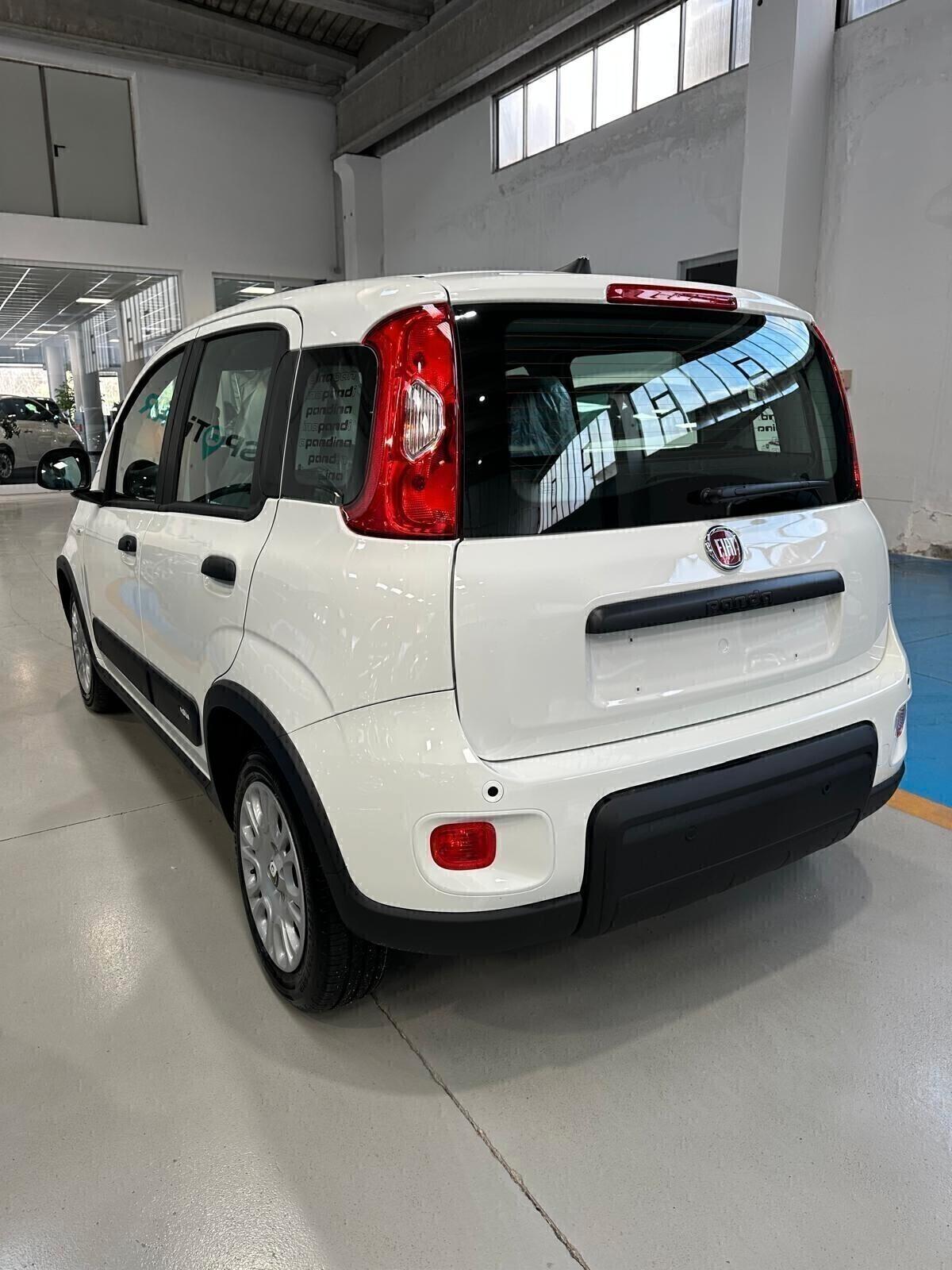 Fiat PANDA 2024 KM 0 PANDINA NAVIGAT E STEREO 8 ''