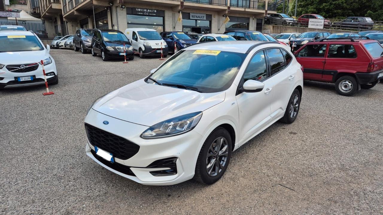Ford Kuga 1.5 EcoBlue 120CV 2WD ST-Line X - 2021