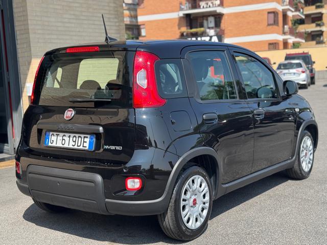 FIAT Panda 1.0 FireFly S&S Hybrid ( NESSUN VINCOLO)