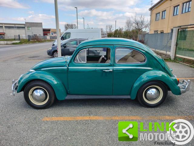 VOLKSWAGEN Maggiolino 6 VOLT