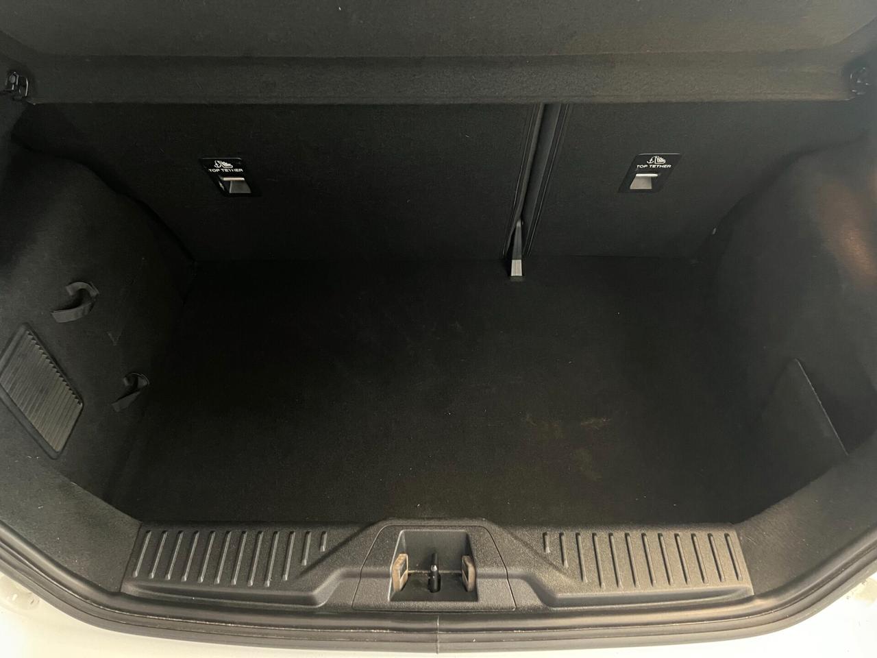 Ford Fiesta Active X 1.0 Ecoboost Hybrid 125 CV 5 porte