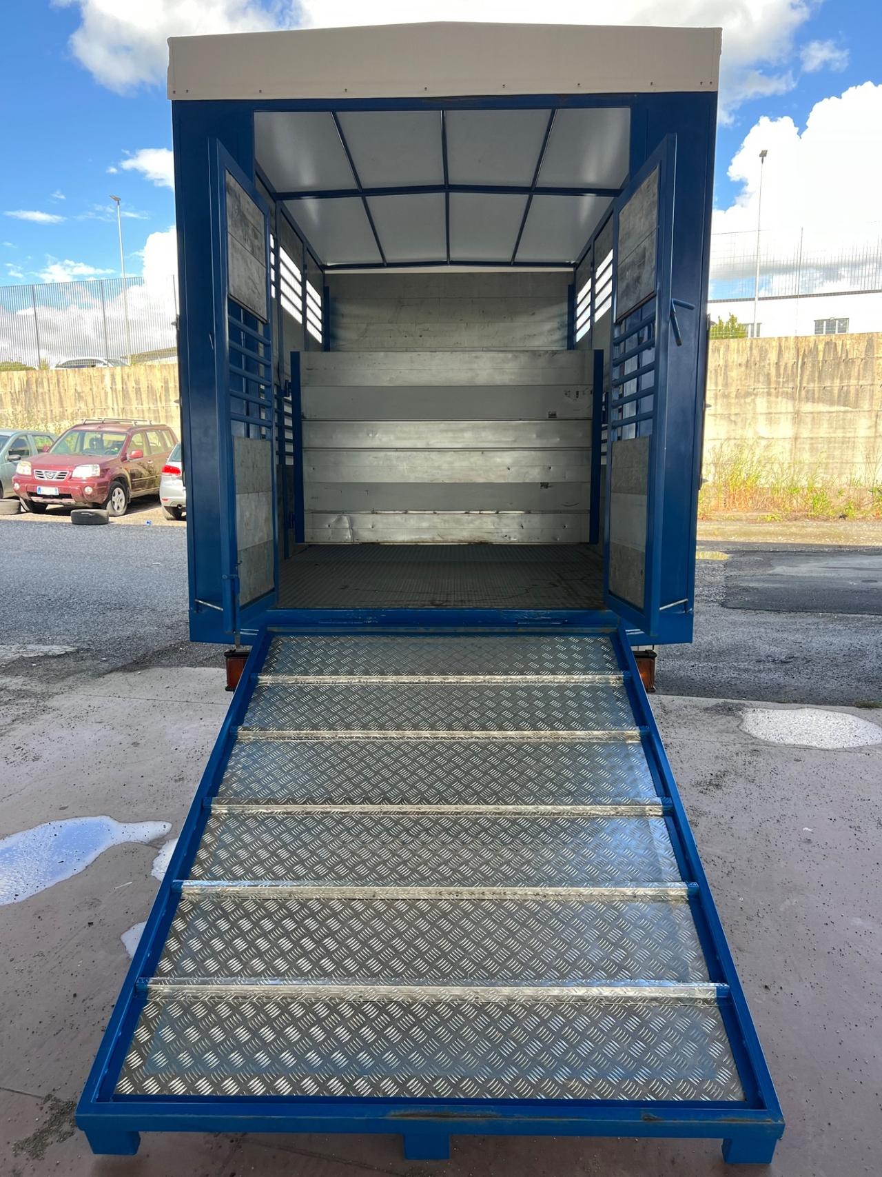 Iveco Daily 35c13 trasporto animali vivi Cavalli