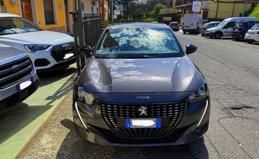 Peugeot 208 1.5 Hdi Allure - 2022