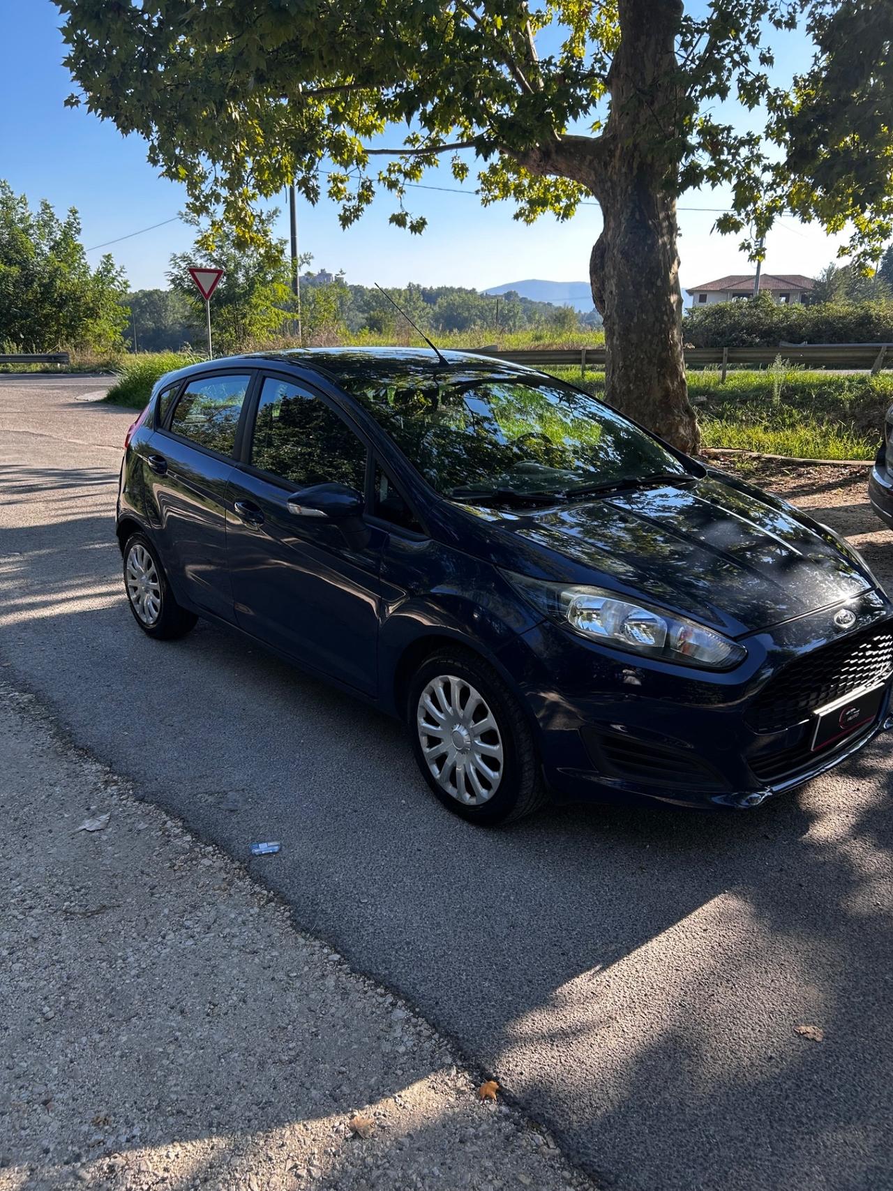 Ford Fiesta 1.5 TDCi 75CV 5 porte Black & White Edition
