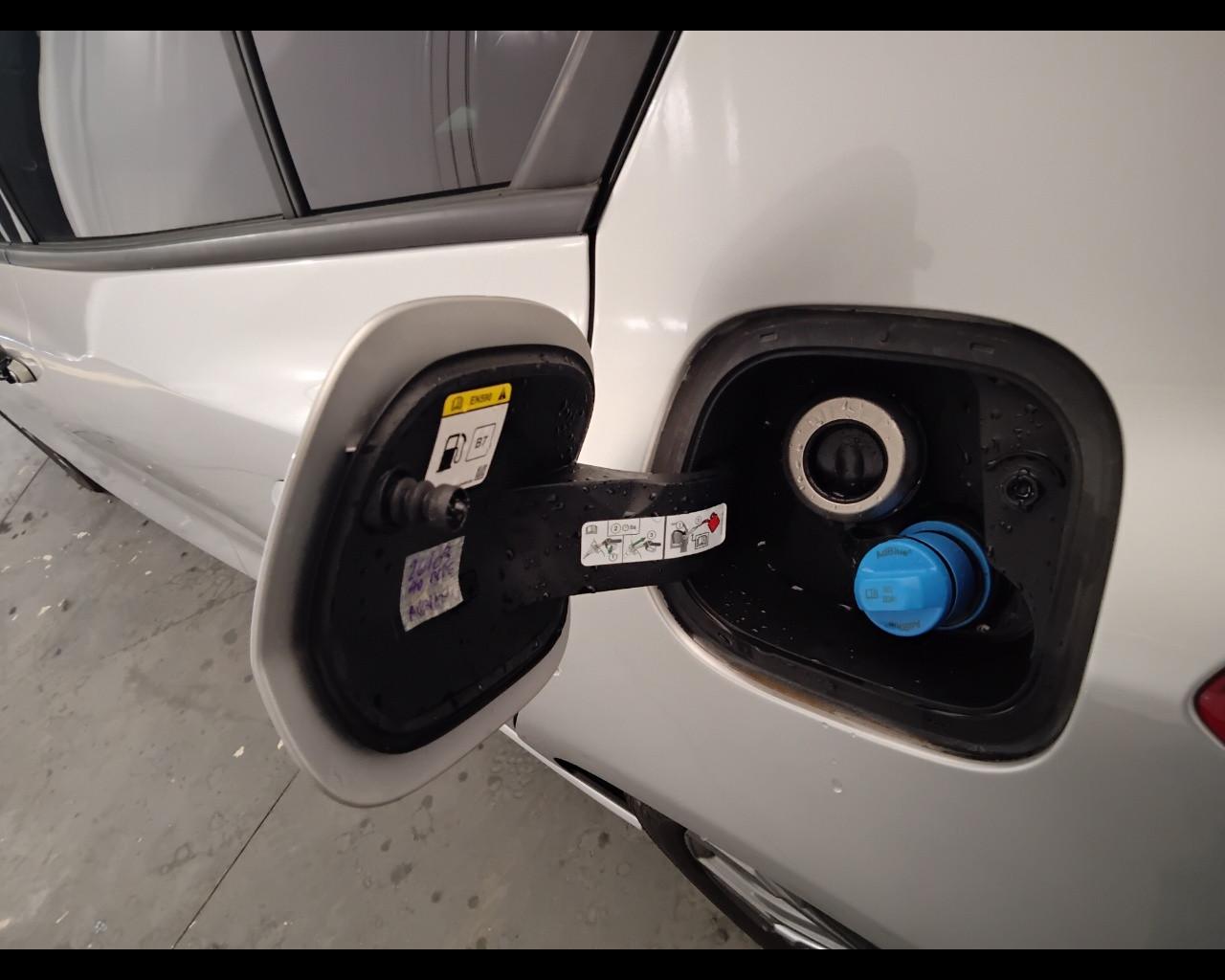 FORD Focus V 2022 - Focus 1.5 ecoblue ST-Line 115cv auto