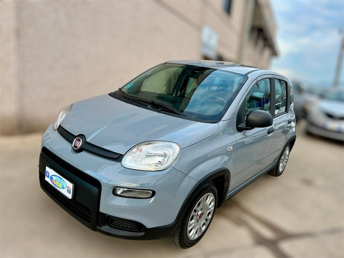 Fiat Panda 1.2 EasyPower Easy X NEOPATENTATI