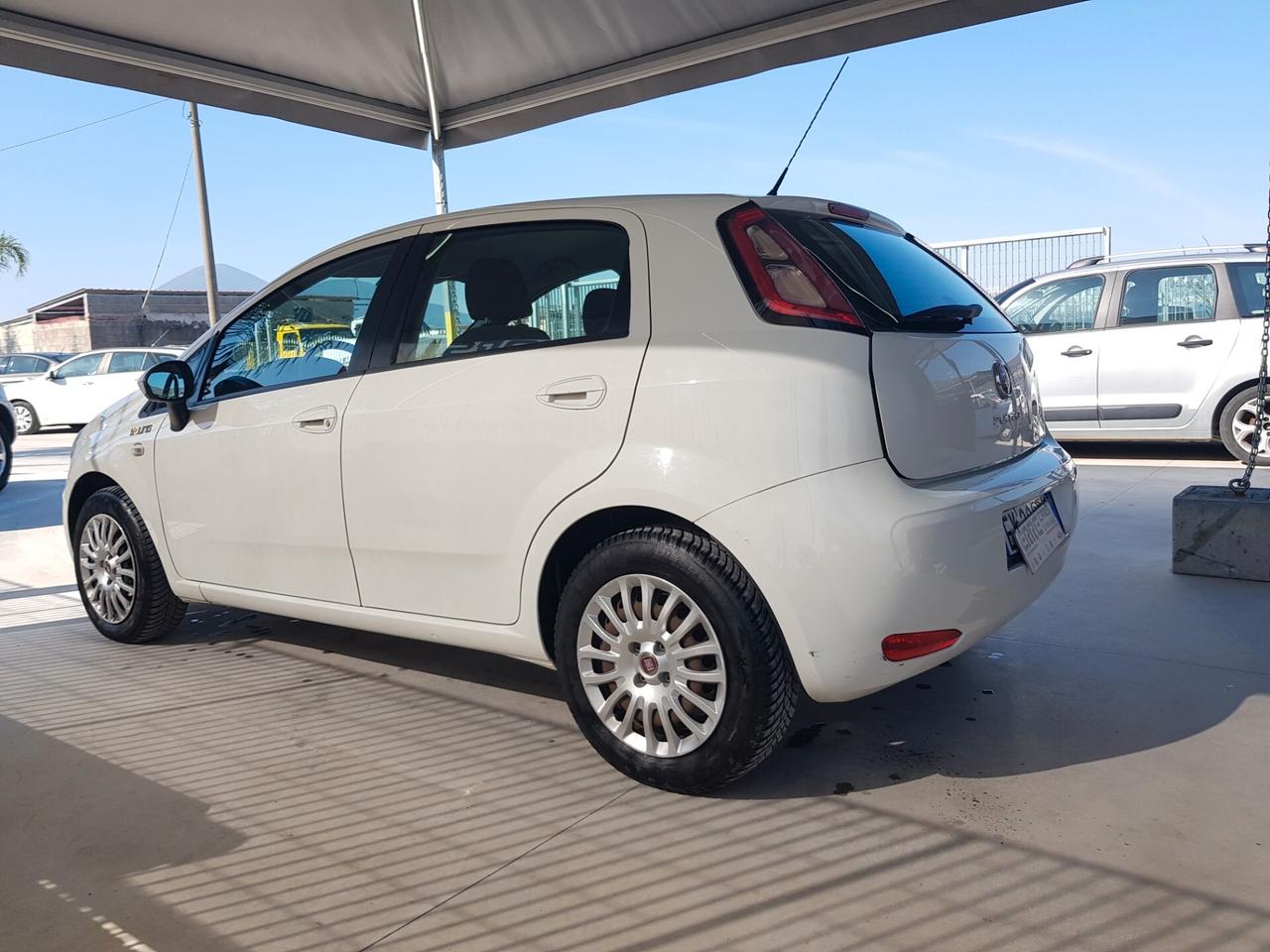 FIAT PUNTO YOUNG ANNO 12/2014 1.2 BENZINA