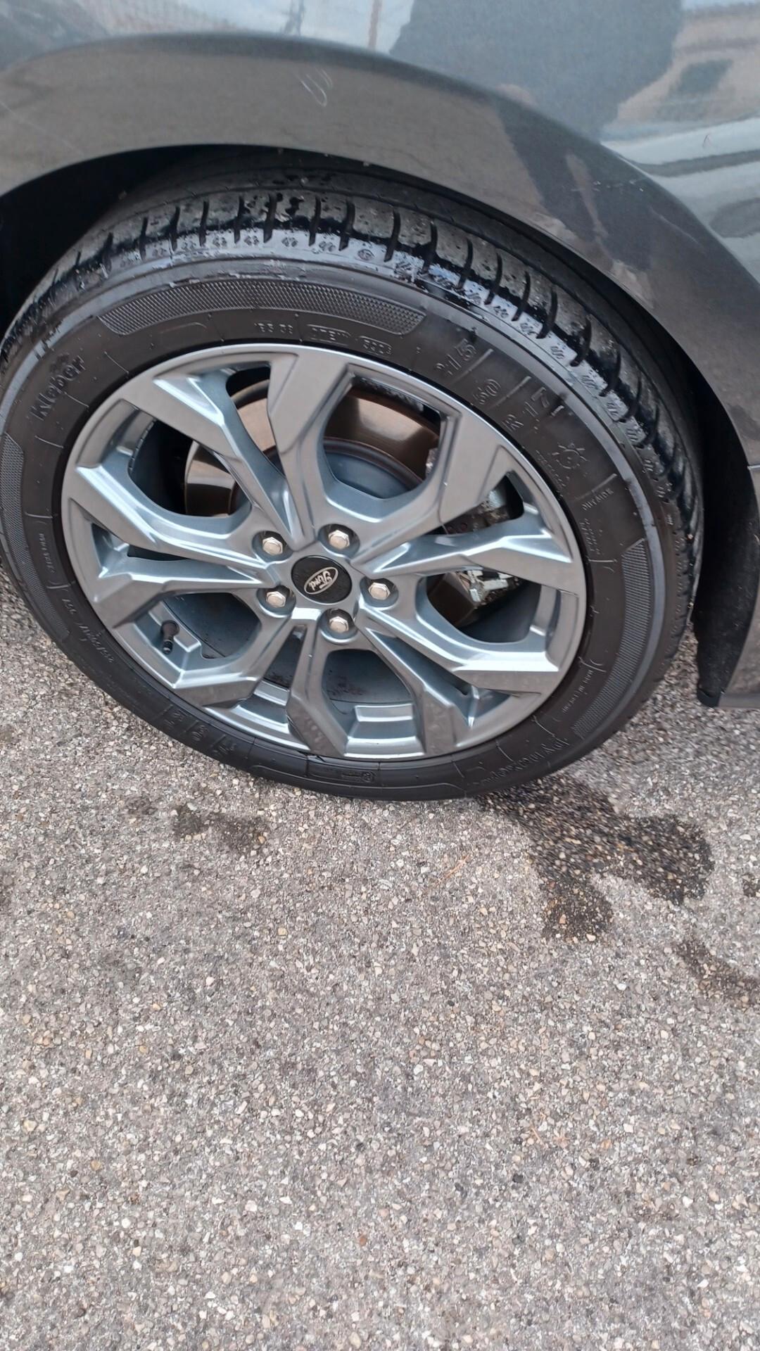 Ford Focus 1.0 EcoBoost Hybrid 125 CV Powershift SW ST-Line