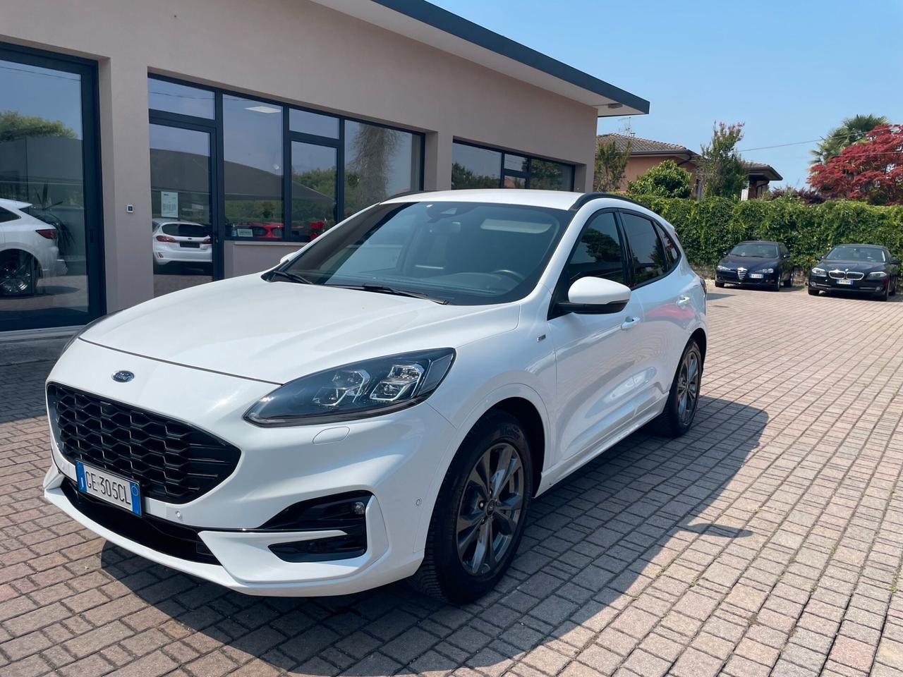 Ford Kuga 1.5 EcoBlue 120 CV aut. 2WD ST-Line X