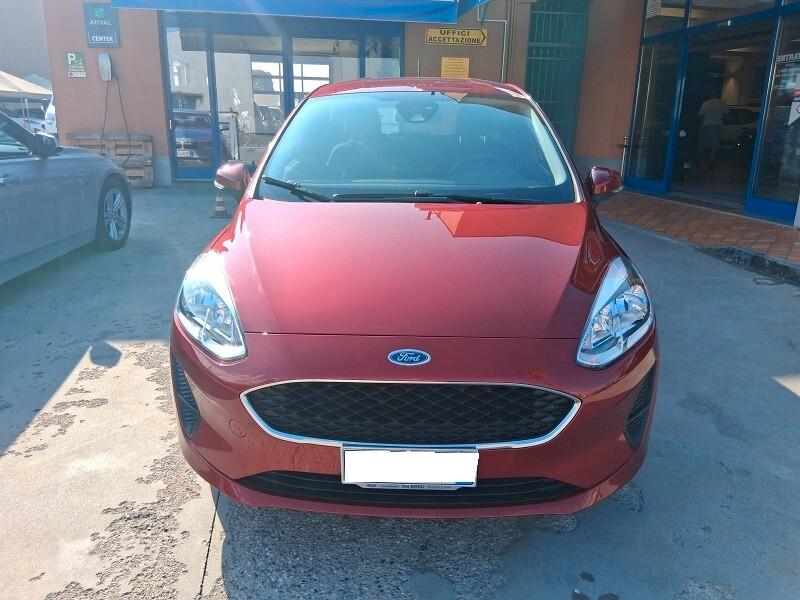 Ford Fiesta 1.5 EcoBlue 5 porte Business (684)
