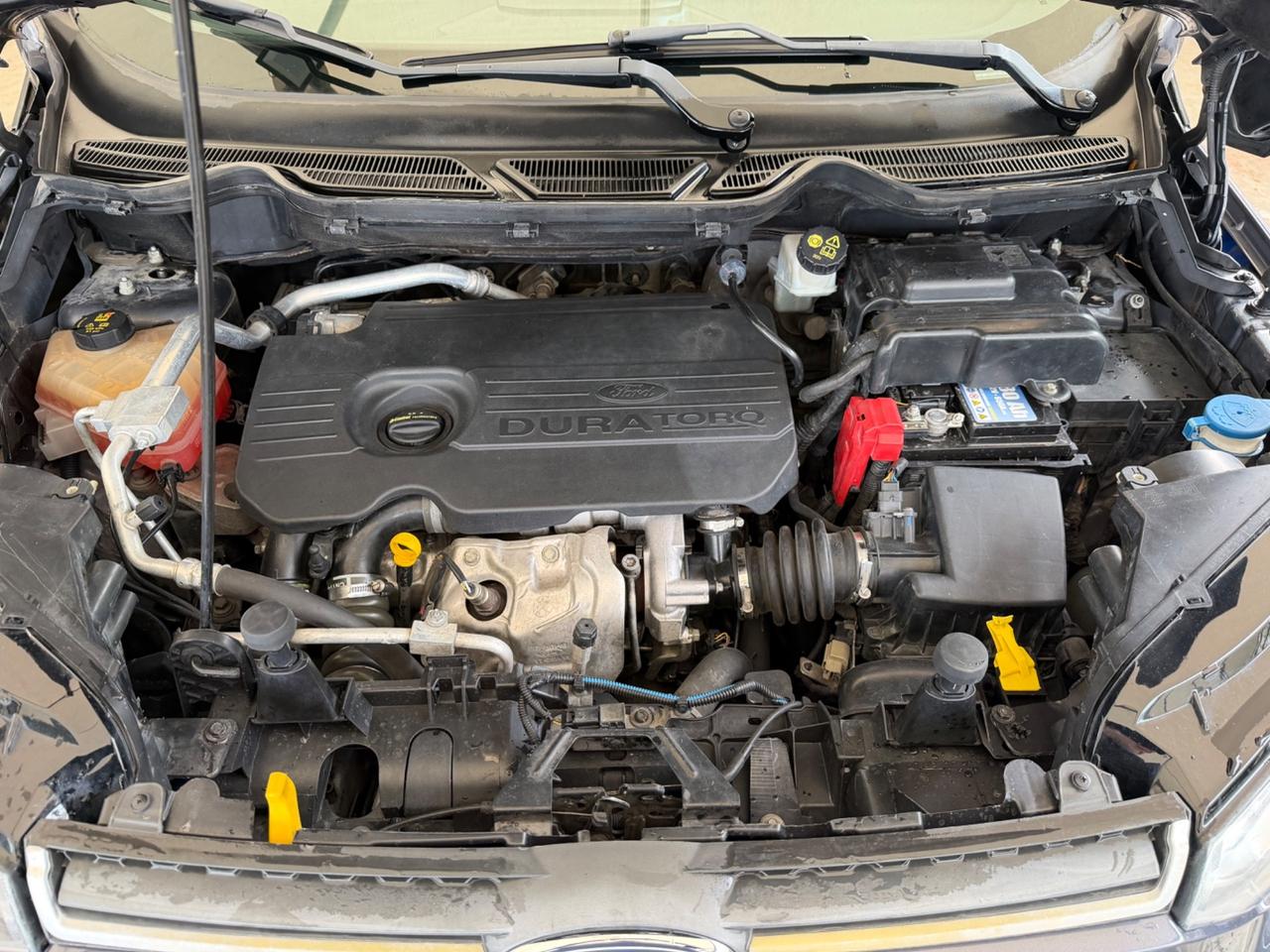 Ford EcoSport 1.5 TDCi 95 CV Business