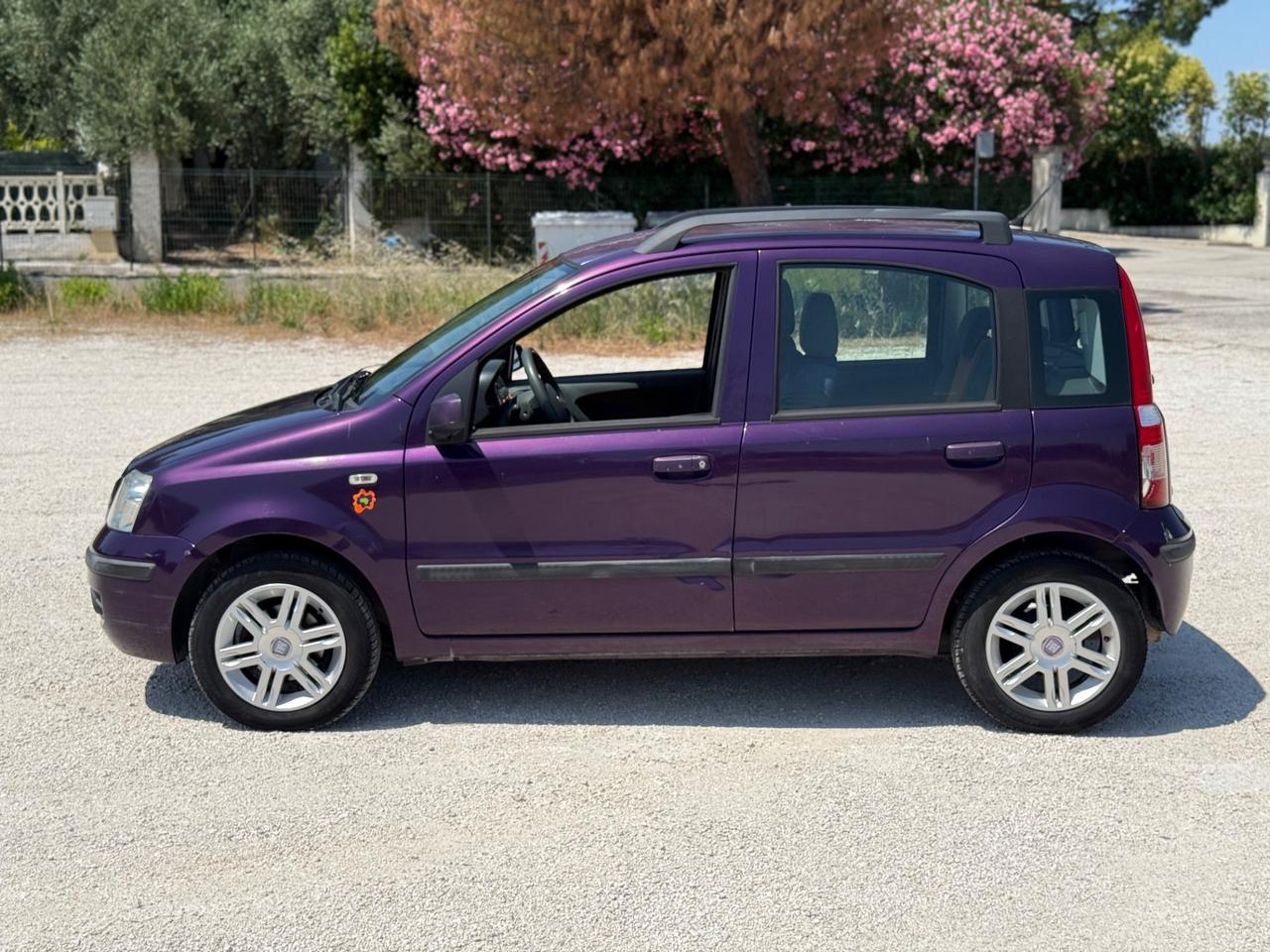 Fiat Panda 1.2 Benzina UNICOPROPRIETARIO neopatentati
