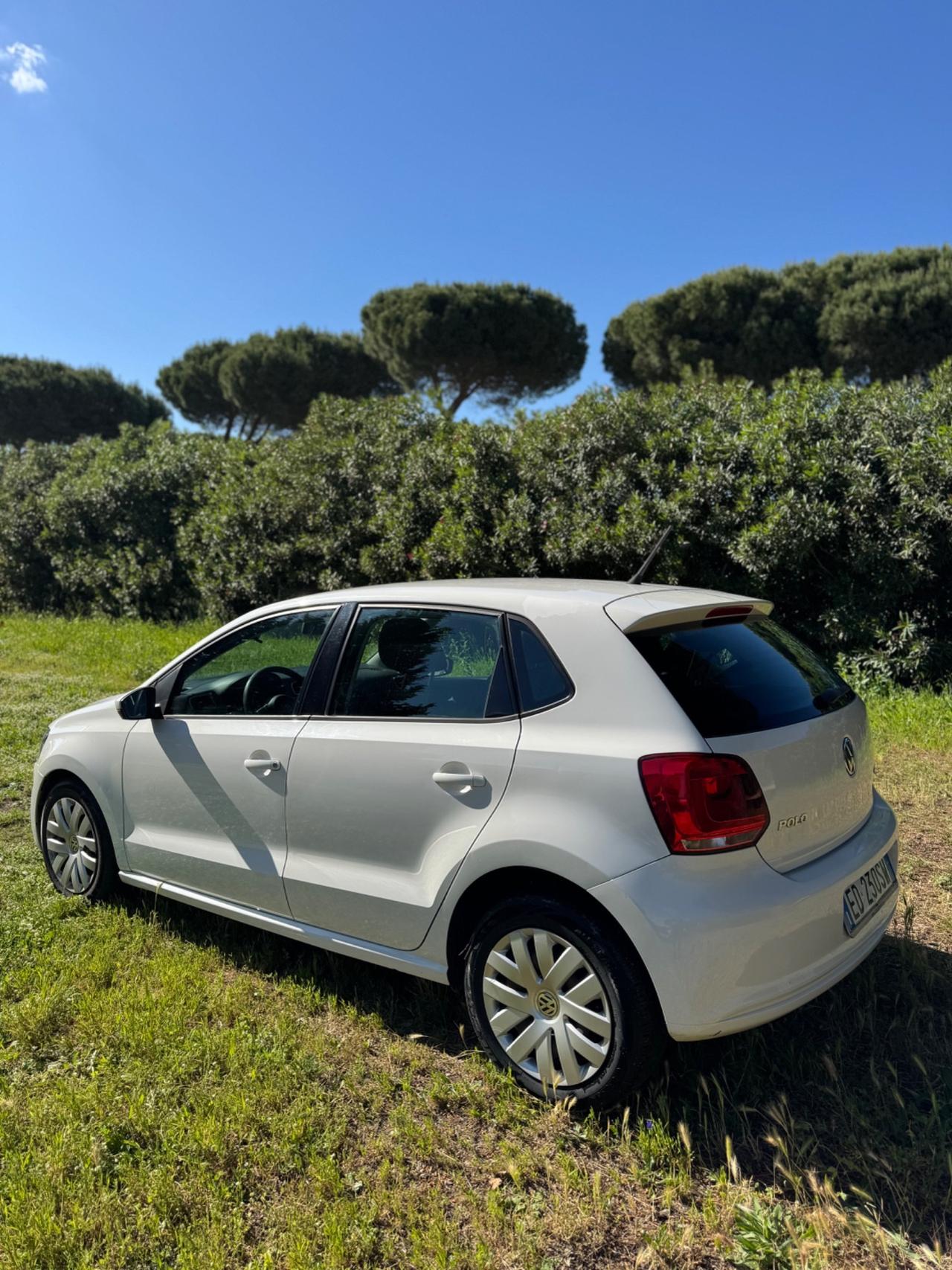Volkswagen Polo 1.6 TDI DPF 5 porte Trendline