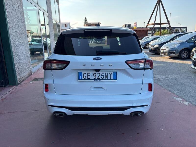 Ford Kuga Kuga 1.5 EcoBlue 120 CV aut. 2WD ST-Line