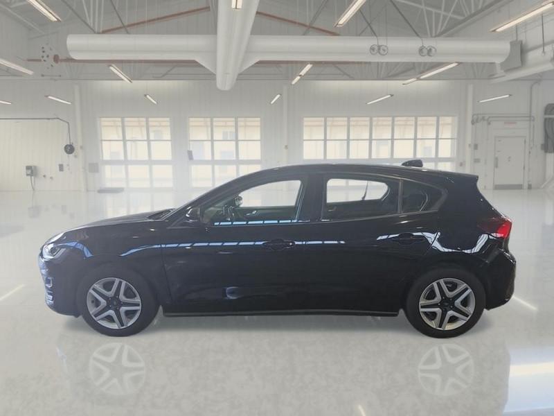 FORD FOCUS 1.5 ECOBLUE 120 CV BUSINESS 5 PORTE BERLINA