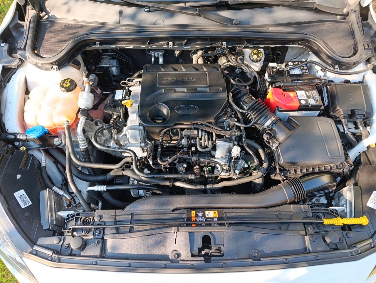 Ford Focus 1.0 EcoBoost ST-Line #GM