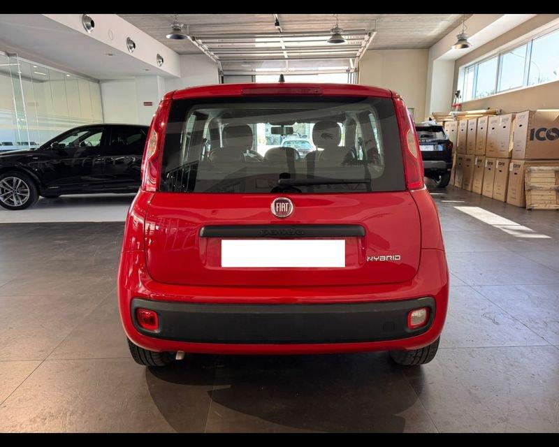 FIAT Panda 3ª serie 1.0 FireFly S&S Hybrid