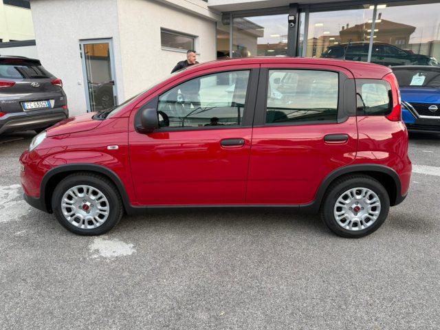 FIAT Panda 1.0 FireFly S&S Hybrid con Pack Comfort