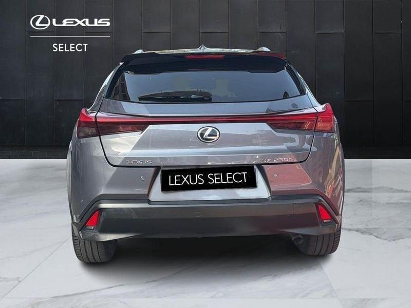 Lexus UX 250h Premium 2wd cvt