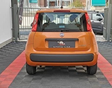 FIAT Panda 3ª serie Panda 1.0 FireFly S&S Hybrid