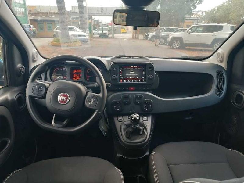 FIAT Panda My24 1.0 70cv Hybrid Panda