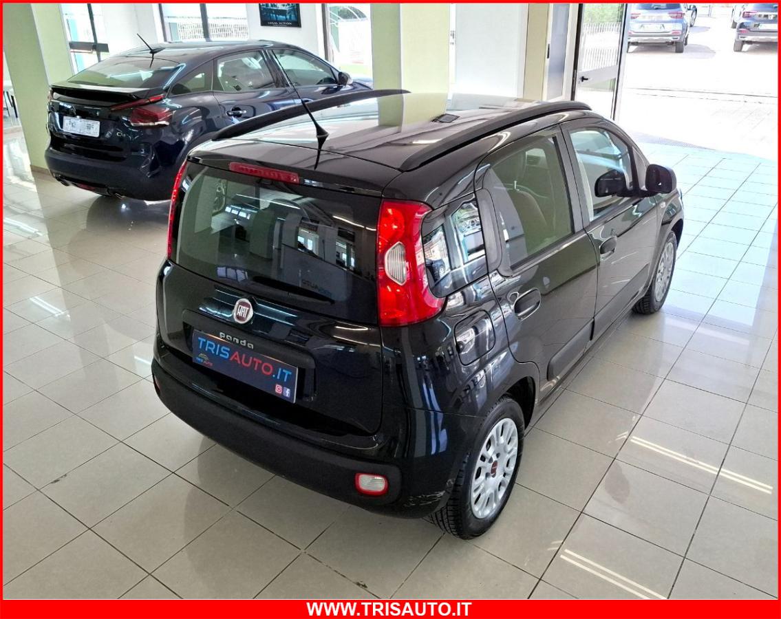 FIAT Panda 1.2 Easypower Gpl Easy NEOPATENTATI