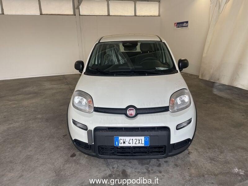 FIAT Panda Serie 7 1.0 70cv HybridPanda