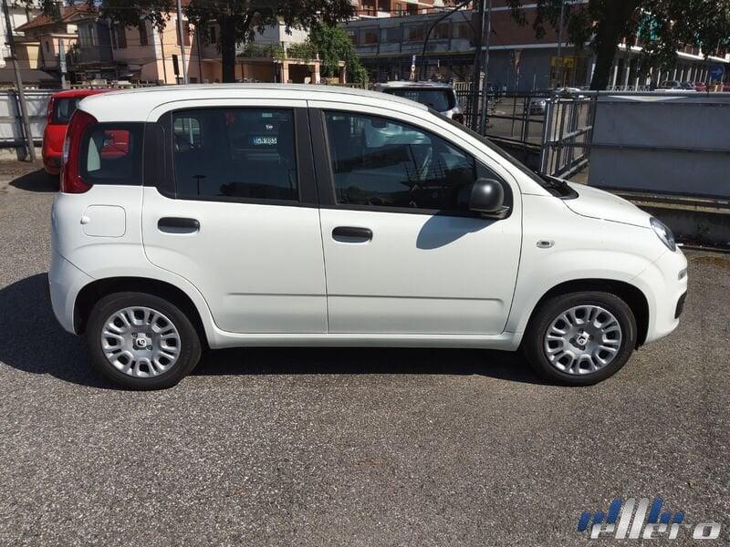 FIAT Panda MY25 1.0 70cv Hybrid