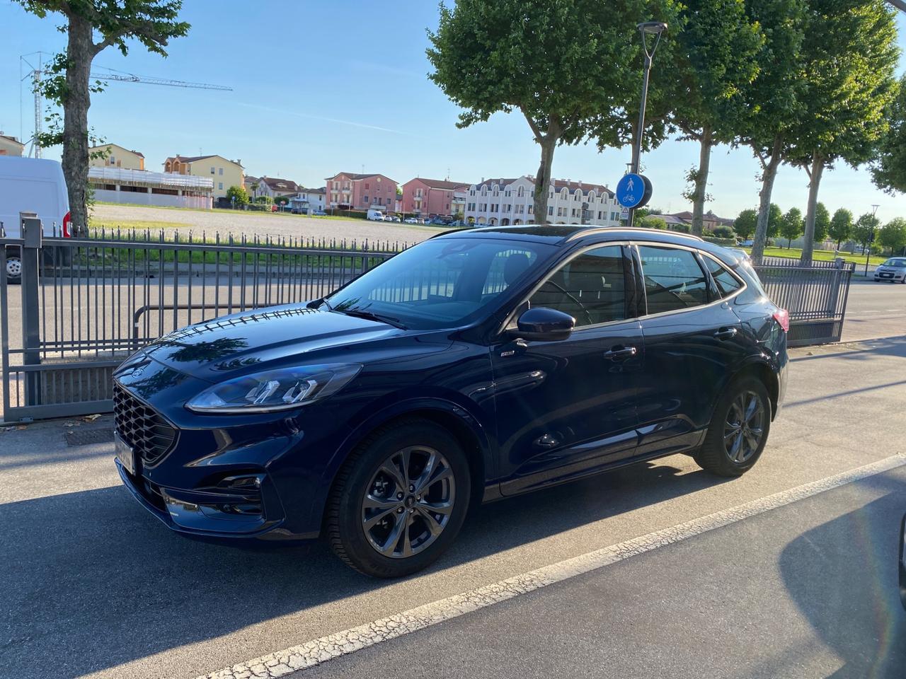 Ford Kuga 2.0 EcoBlue 120 CV aut. 2WD ST-Line - KM 27.000