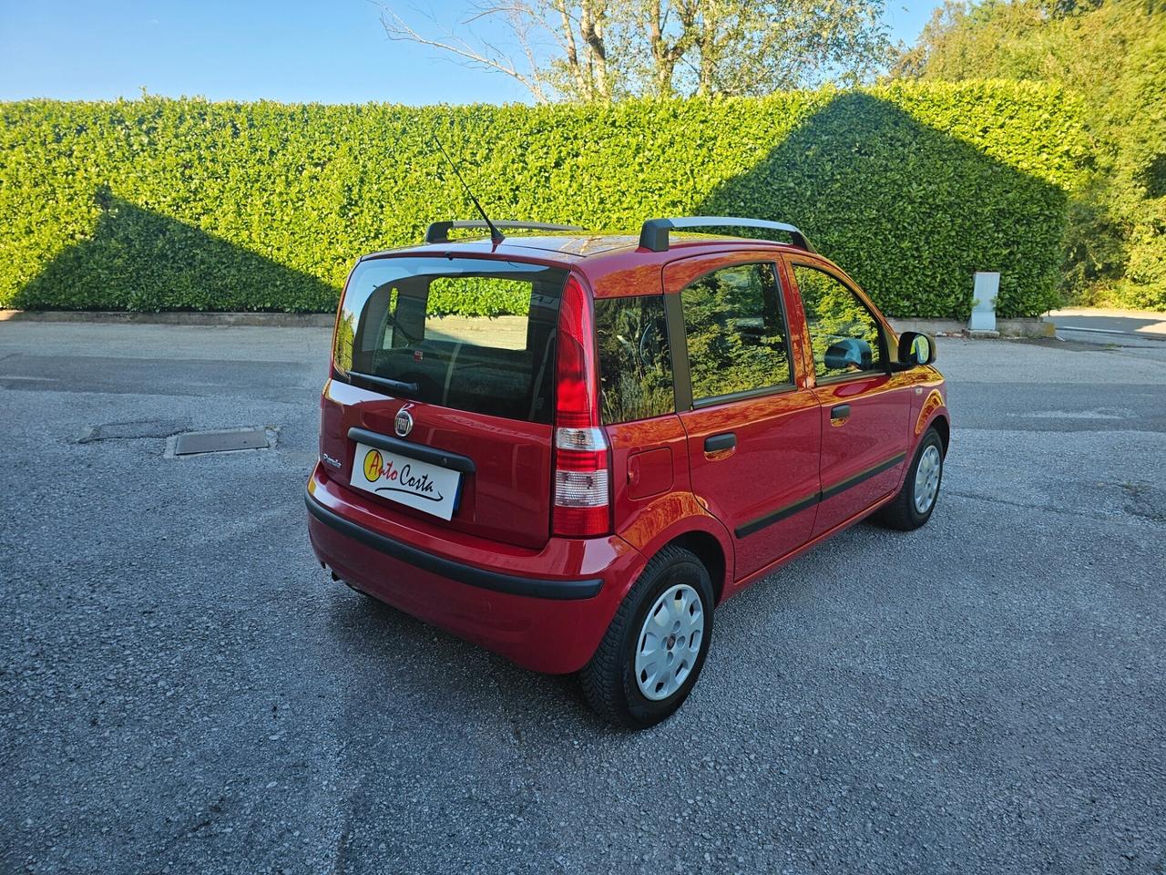 Fiat Panda 1.2 Emotion Neopatentati