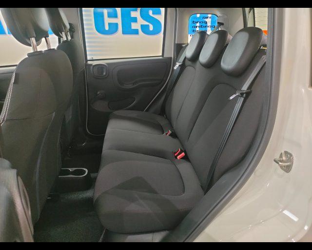 FIAT Panda 1.0 firefly hybrid Icon s&s 70cv 5p.ti