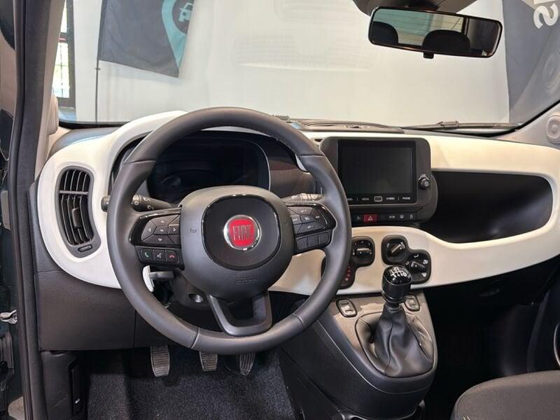 FIAT Panda 1.0 FireFly 70cv S&S Hybrid Pandina
