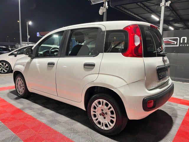 FIAT Panda 1.2 Easy *OK NEOPATENTATO*