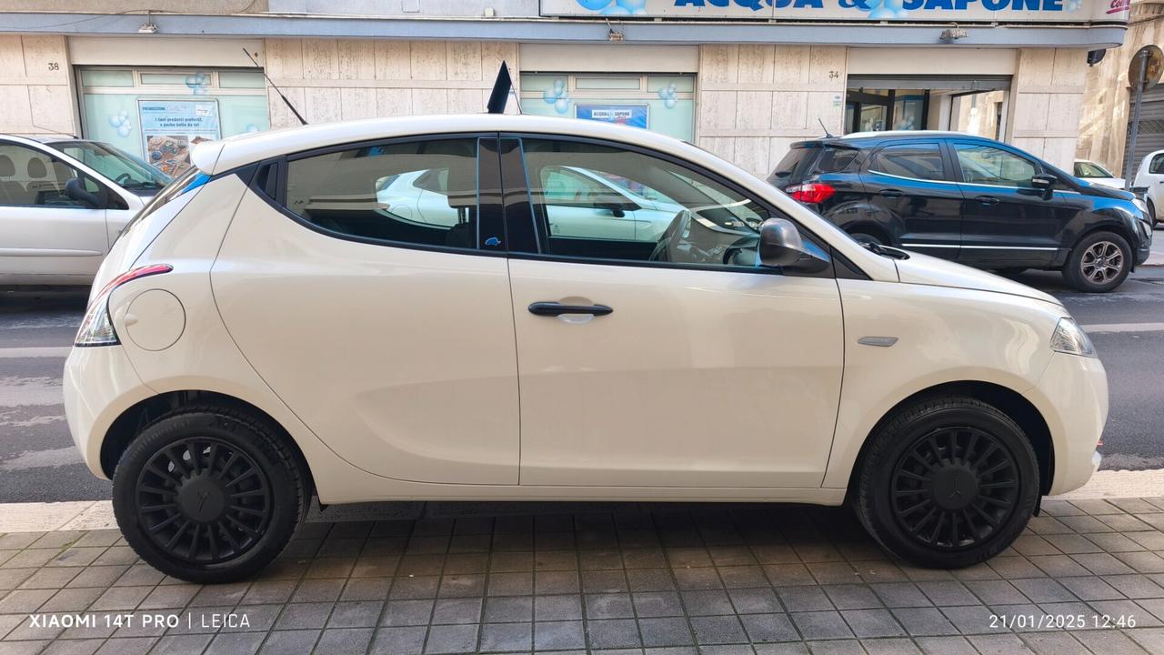 Lancia Ypsilon 1.2 69 CV 5 porte GPL Ecochic Elefantino Blu 2019