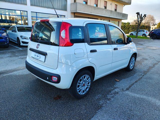 FIAT Panda 1.3 MJT 95 CV S&S Easy