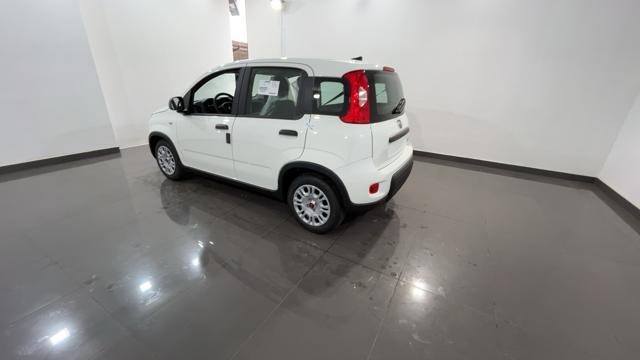 FIAT Panda 1.0 FireFly S&S Hybrid - VARI COLORI!