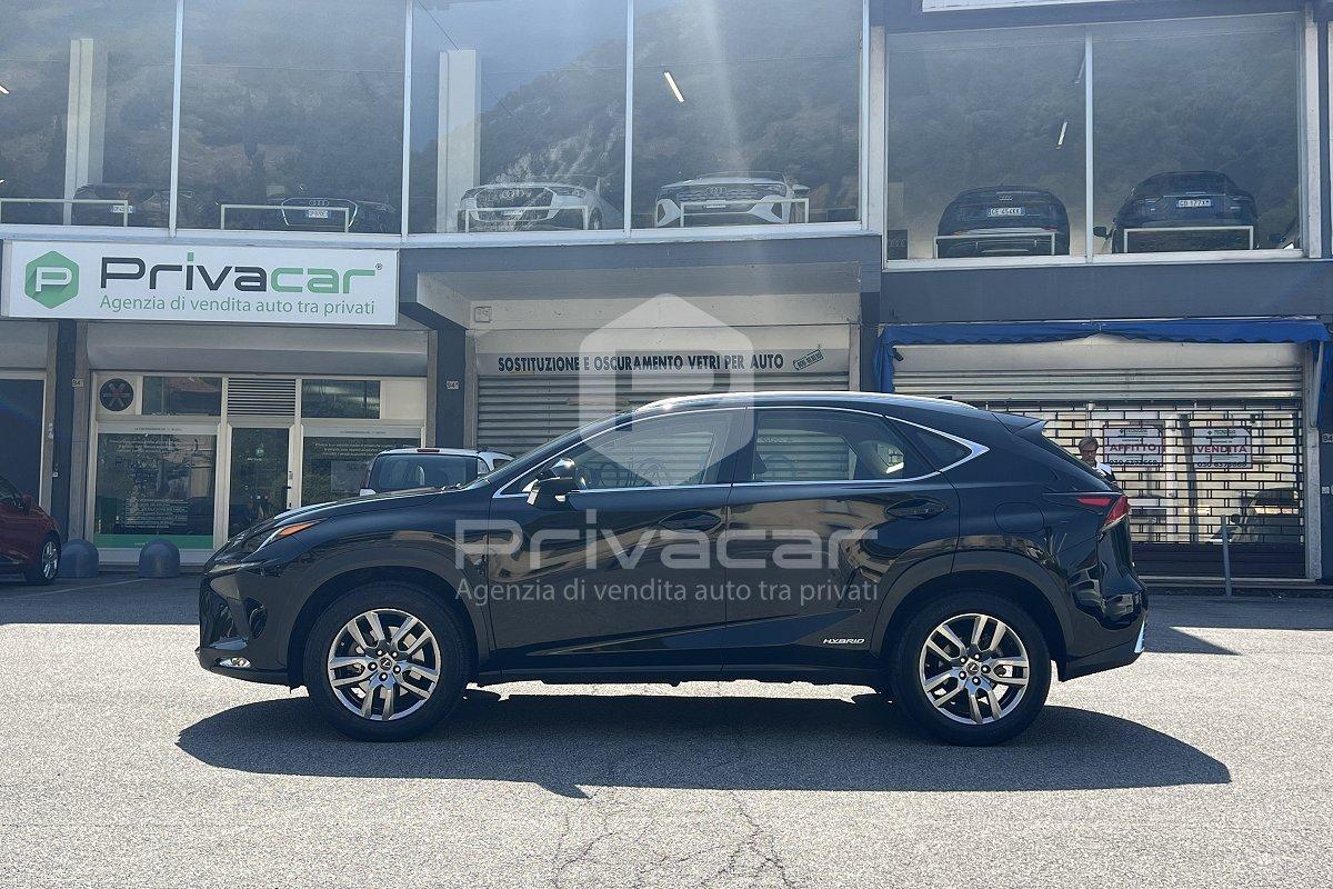 LEXUS NX Hybrid 4WD Business