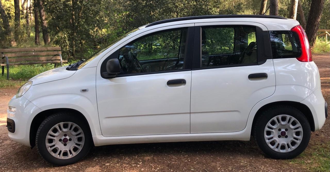 Fiat Panda 1.2 Lounge
