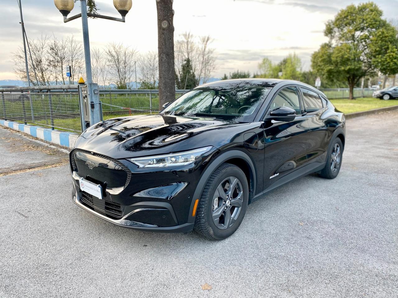 Ford Mustang Mach-e standard range rwd 269cv auto