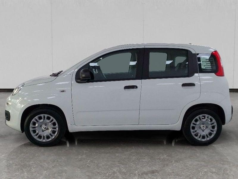 FIAT Pandina 1.0 firefly hybrid Icon s&s 70cv 5p.ti