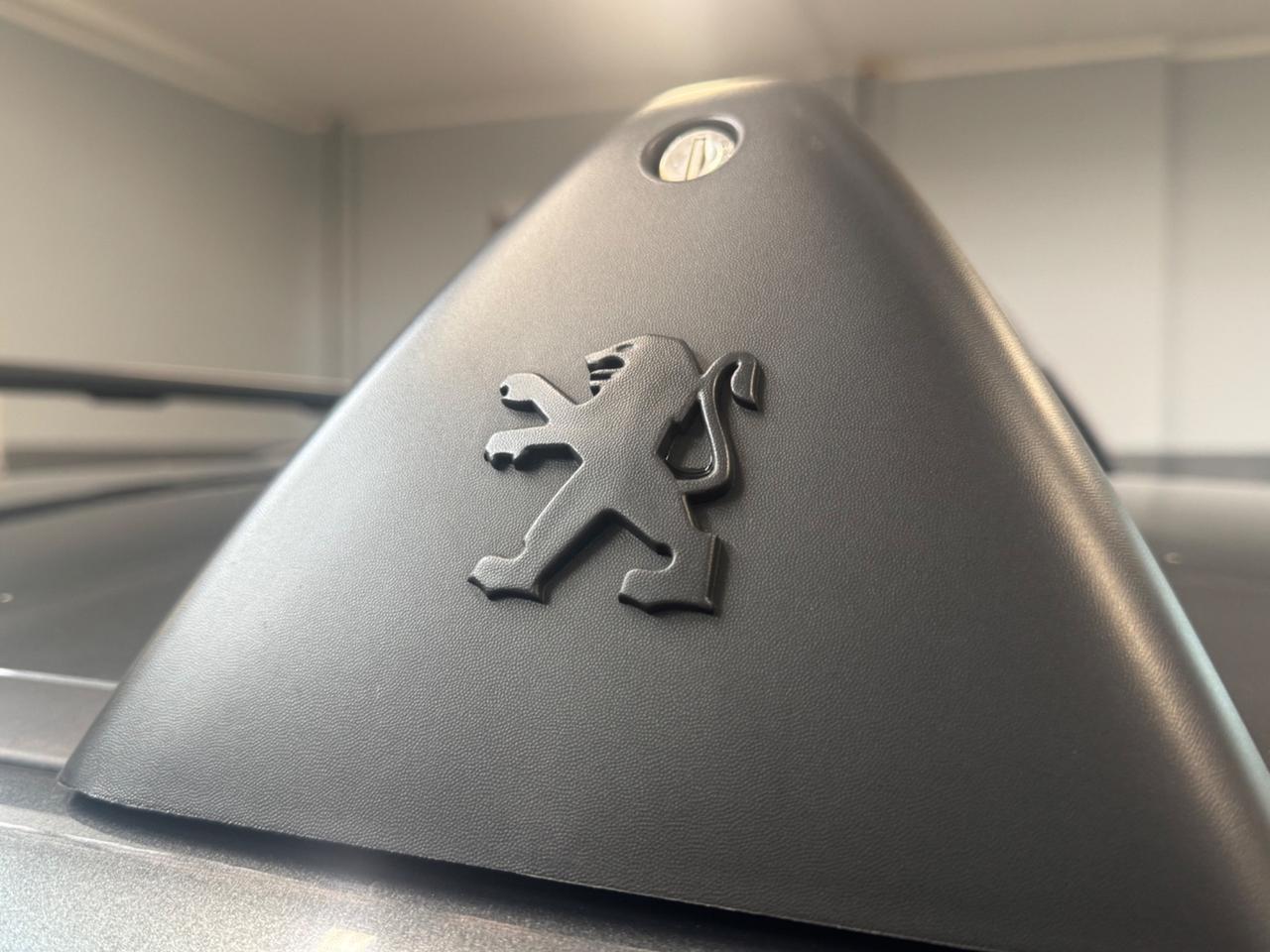 Peugeot 3008 1.6 VTi 120CV Premium